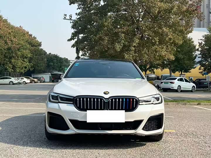 Фото 2 - BMW 5 Series Hybrid