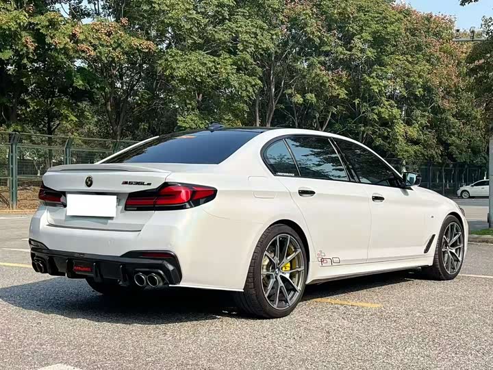 Фото 7 - BMW 5 Series Hybrid