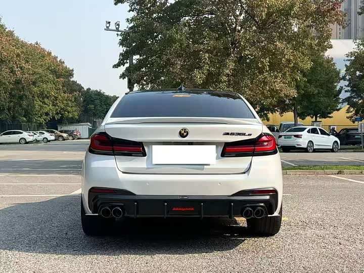 Фото 8 - BMW 5 Series Hybrid