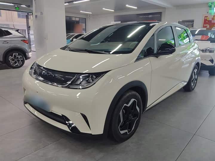 Фото 2 - BYD Dolphin