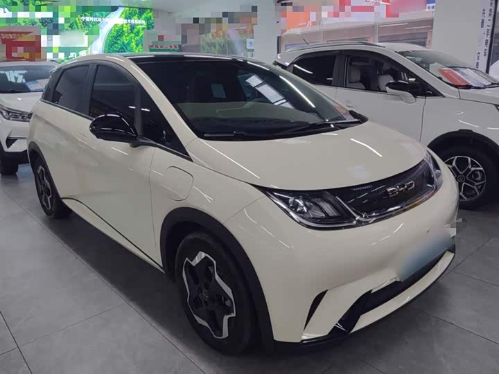 Фото 4 - BYD Dolphin