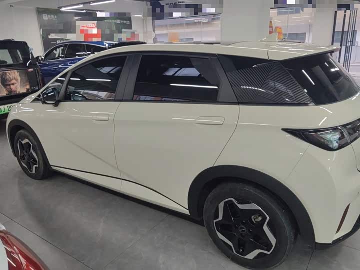 Фото 5 - BYD Dolphin