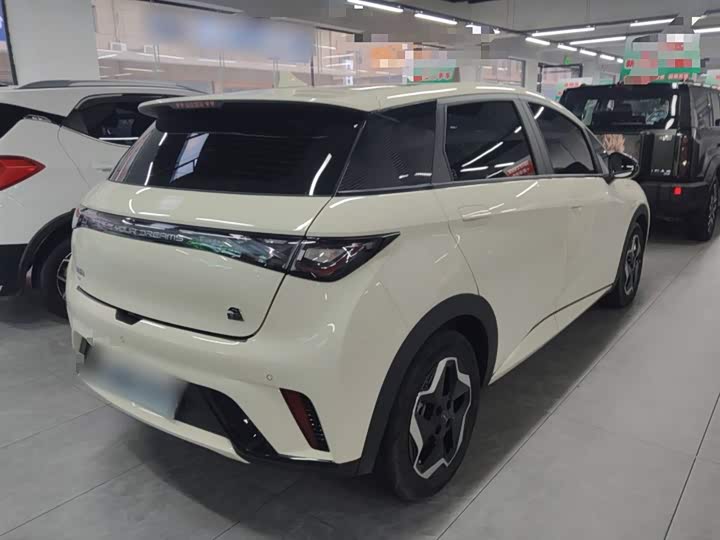 Фото 7 - BYD Dolphin