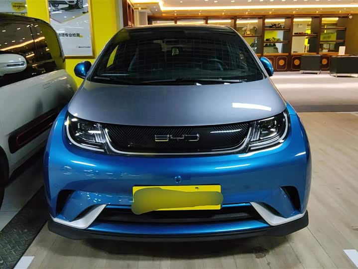 Фото 2 - BYD Dolphin