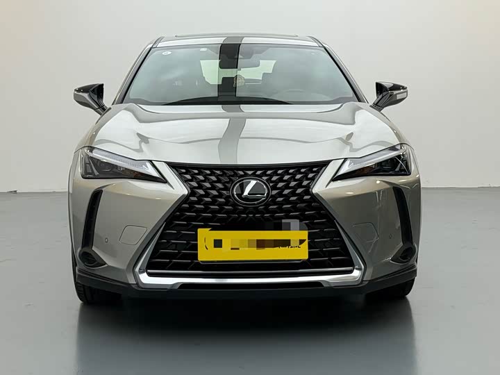 Фото 2 - Lexus UX