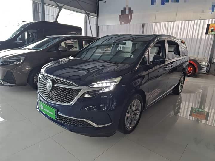 Фото 2 - Buick GL8 ES