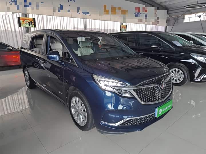 Фото 4 - Buick GL8 ES