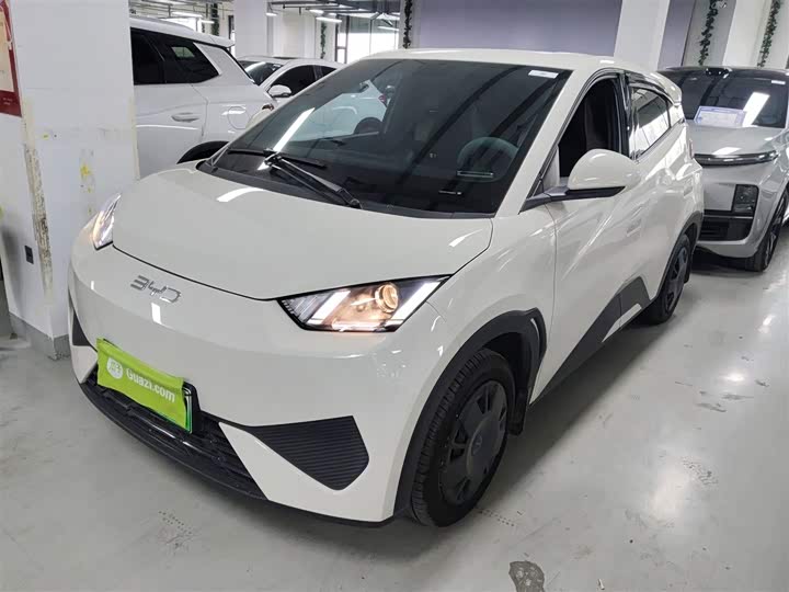 Фото 1 - BYD Seagull