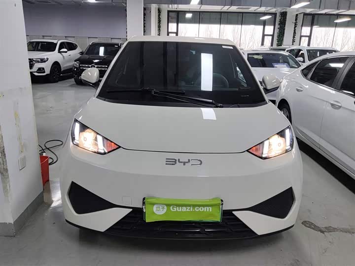 Фото 3 - BYD Seagull