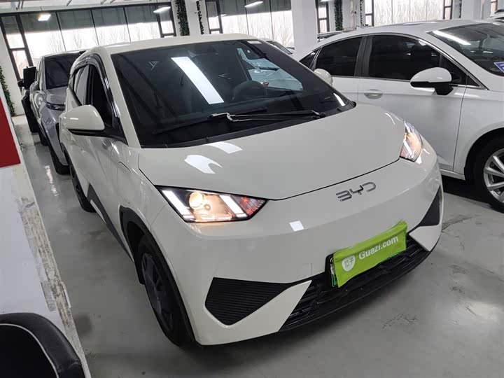 Фото 4 - BYD Seagull