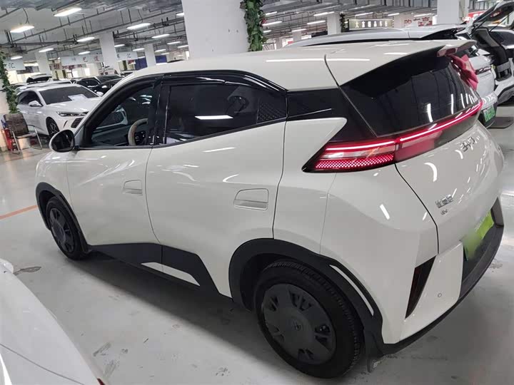 Фото 5 - BYD Seagull