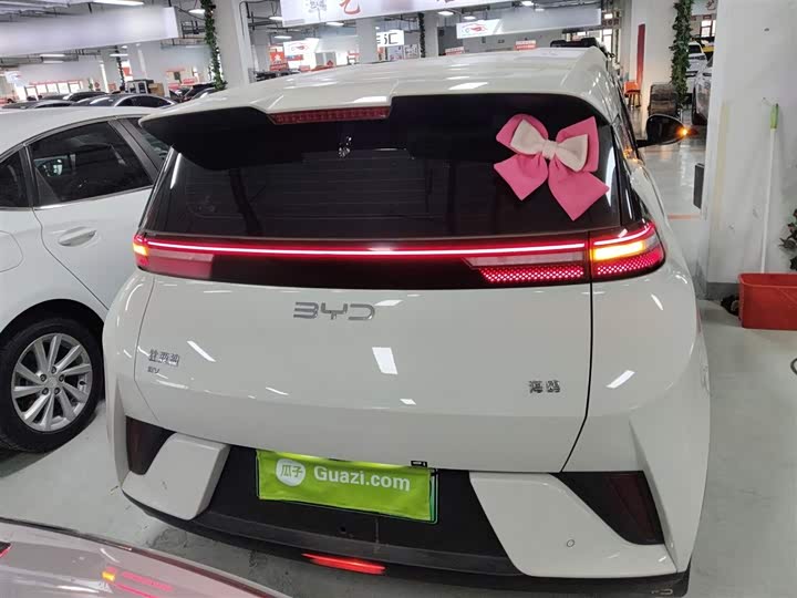 Фото 6 - BYD Seagull