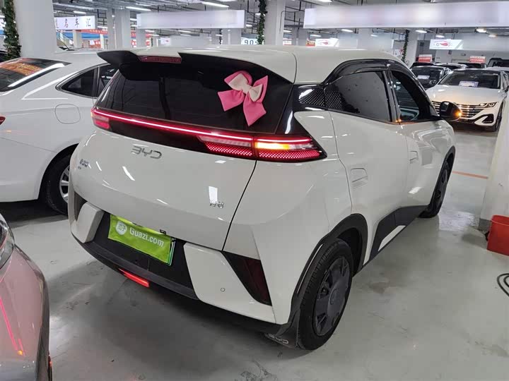 Фото 7 - BYD Seagull