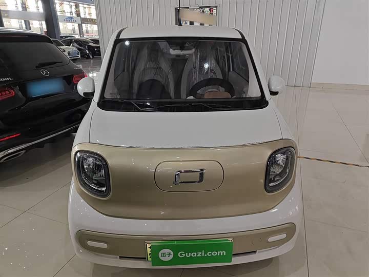 Фото 3 - Bestune Pony