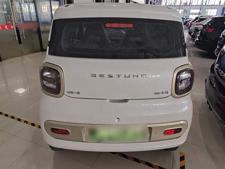 Фото 6 - Bestune Pony