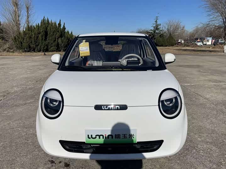 Фото 2 - Changan Qiyuan (Nevo) Lumin