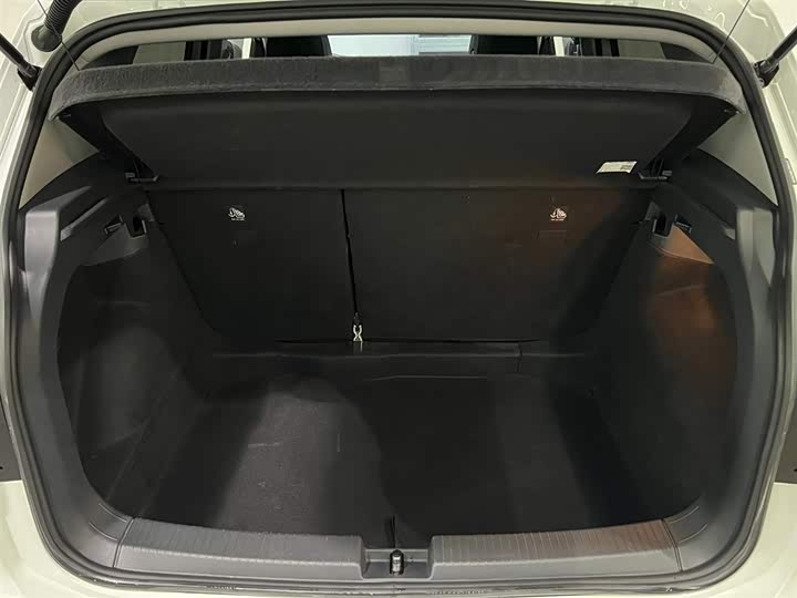 Фото 7 - Volkswagen Tacqua