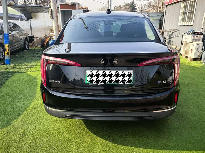 Фото 8 - Hongqi E-QM5