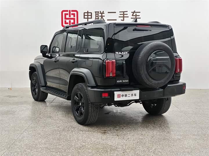 Фото 2 - Tank 300