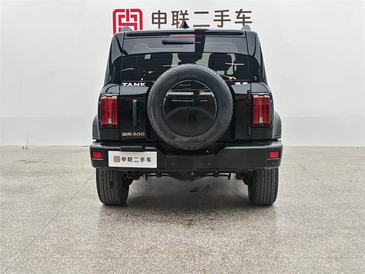 Фото 4 - Tank 300