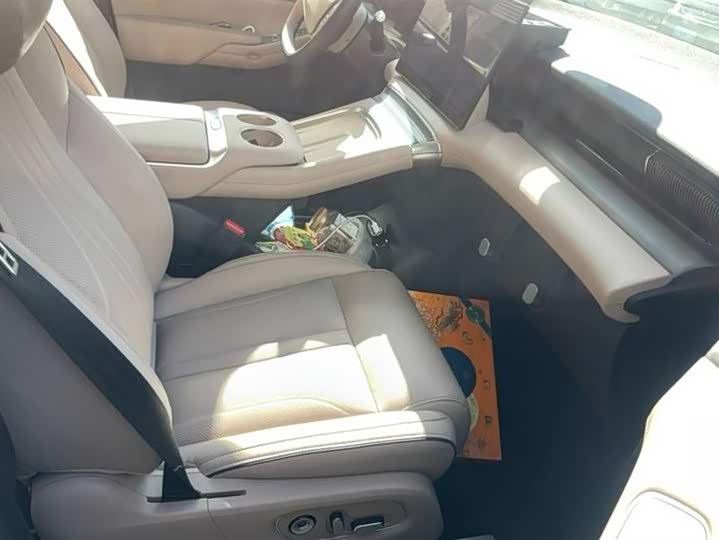 Фото 6 - XPeng X9