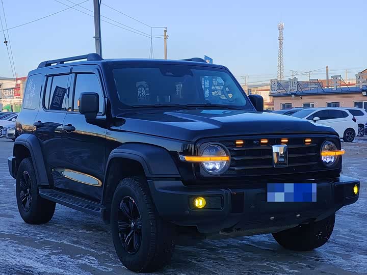 Фото 2 - Tank 300