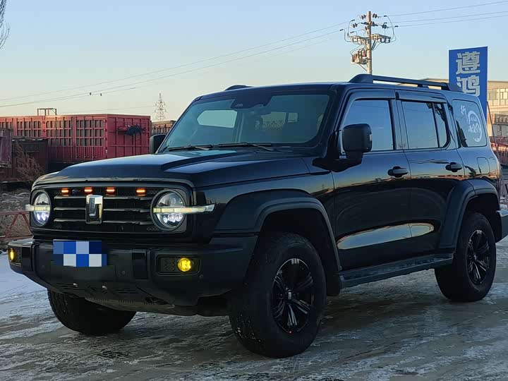 Фото 3 - Tank 300