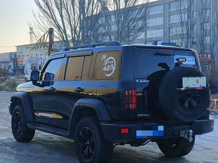 Фото 4 - Tank 300