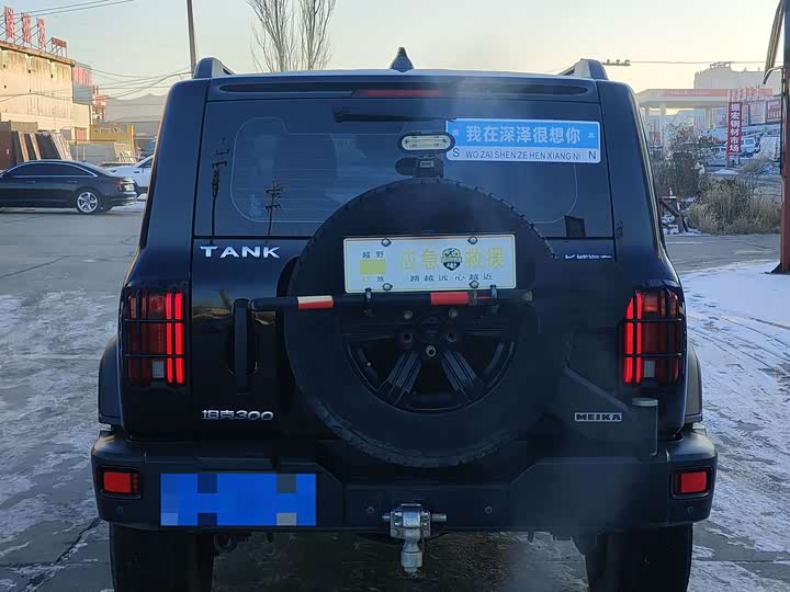 Фото 5 - Tank 300