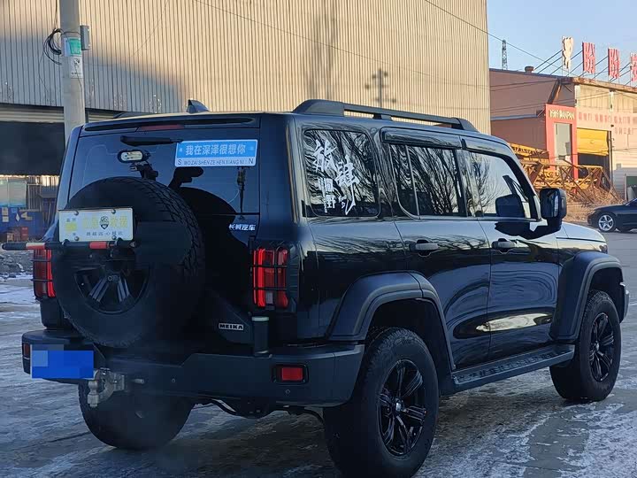 Фото 6 - Tank 300