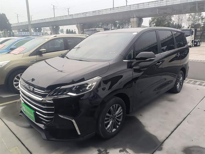 Фото 2 - Maxus G50