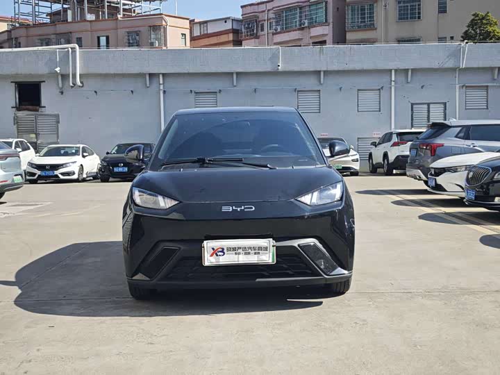 Фото 2 - BYD Seagull