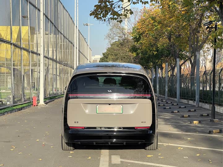 Фото 4 - LiXiang Mega