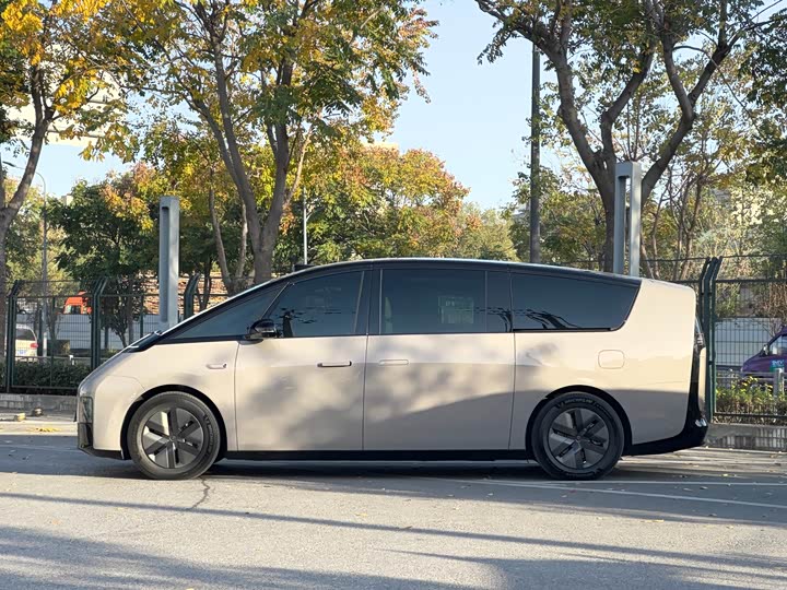 Фото 7 - LiXiang Mega