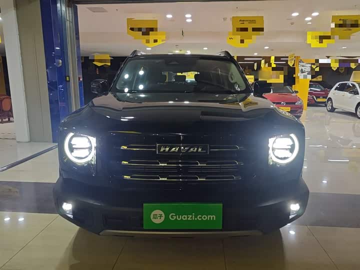 Фото 3 - Haval Dargo