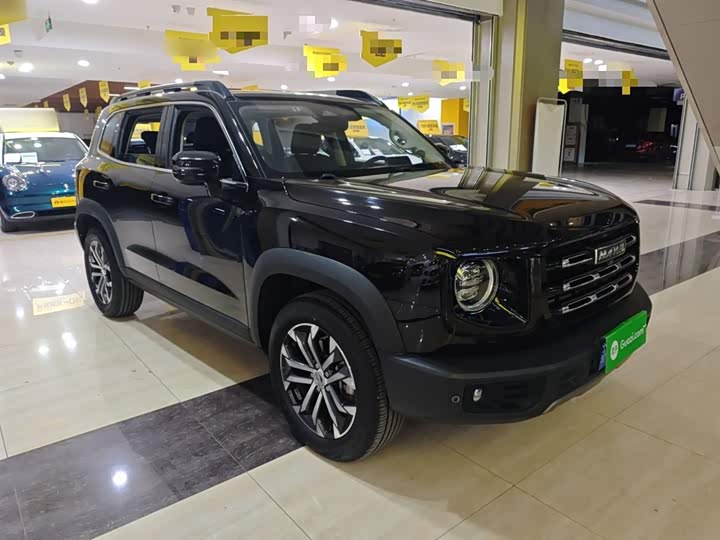 Фото 4 - Haval Dargo