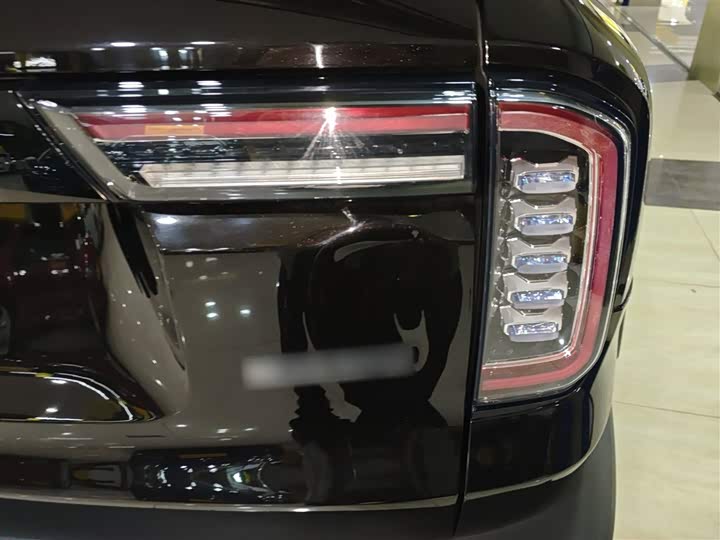 Фото 8 - Haval Dargo