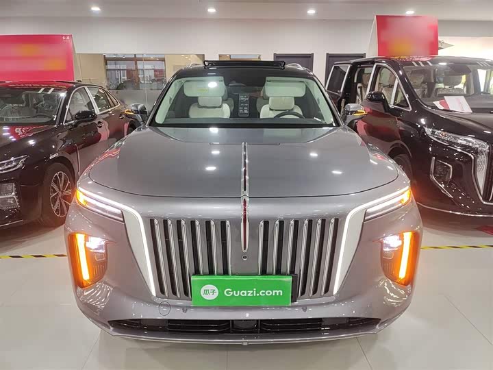 Фото 3 - Hongqi E-HS9