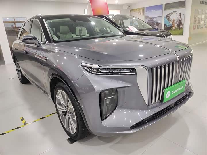 Фото 4 - Hongqi E-HS9