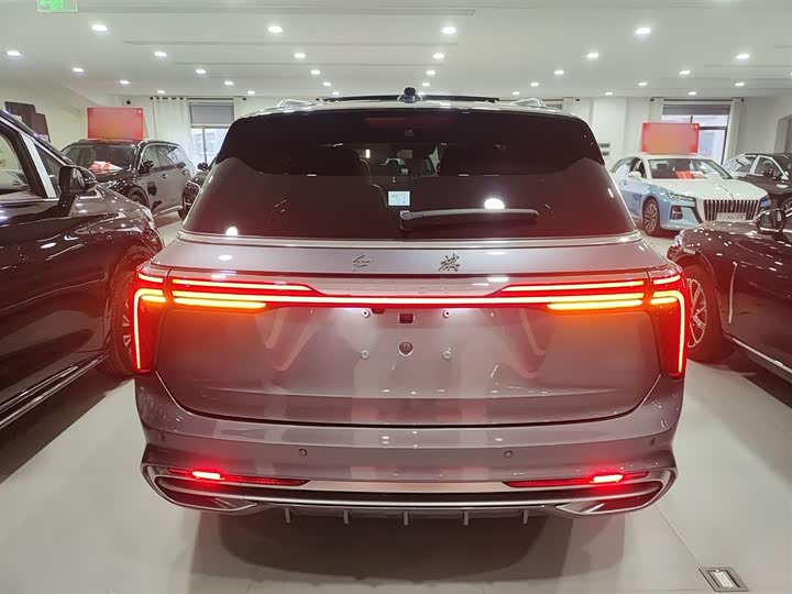 Фото 6 - Hongqi E-HS9