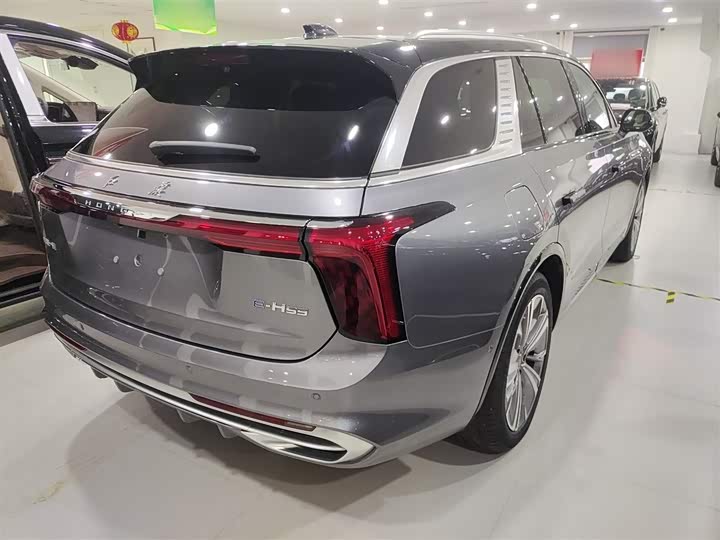 Фото 7 - Hongqi E-HS9