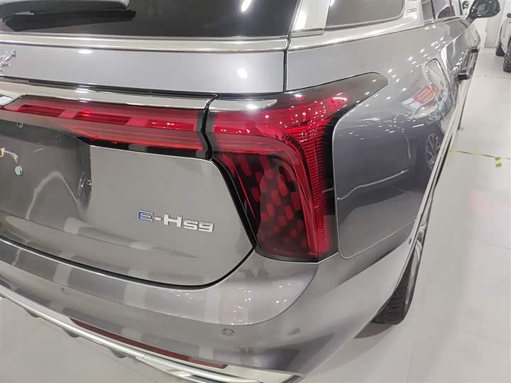 Фото 8 - Hongqi E-HS9