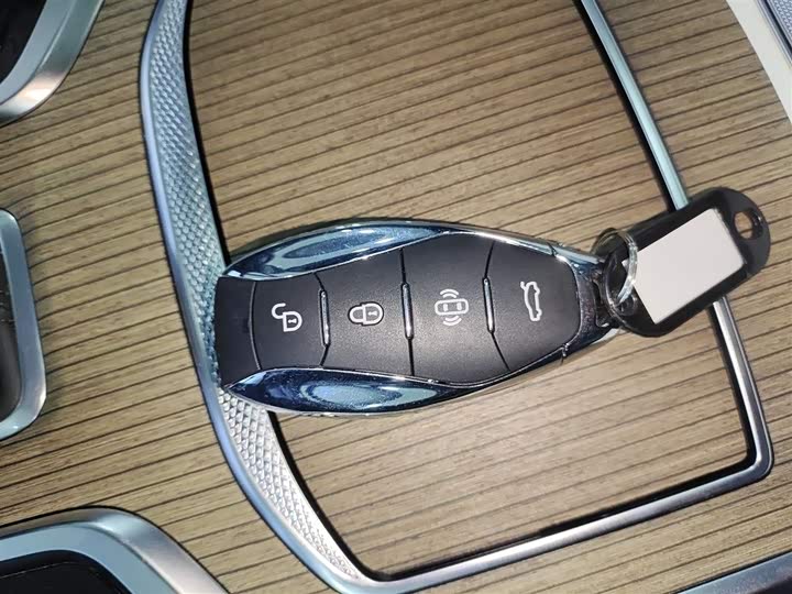 Фото 9 - Hongqi E-HS9