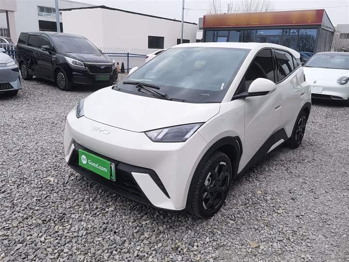 Фото 2 - BYD Seagull