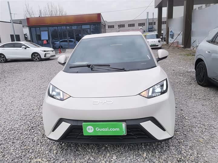 Фото 3 - BYD Seagull