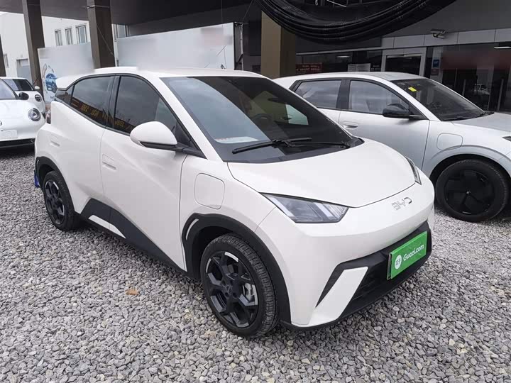 Фото 4 - BYD Seagull