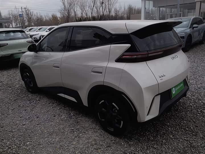 Фото 5 - BYD Seagull