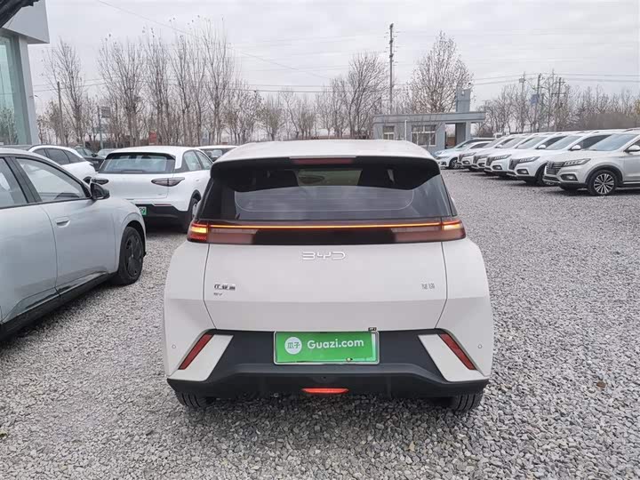 Фото 6 - BYD Seagull