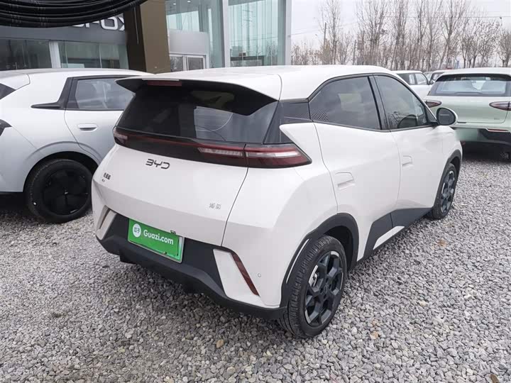 Фото 7 - BYD Seagull