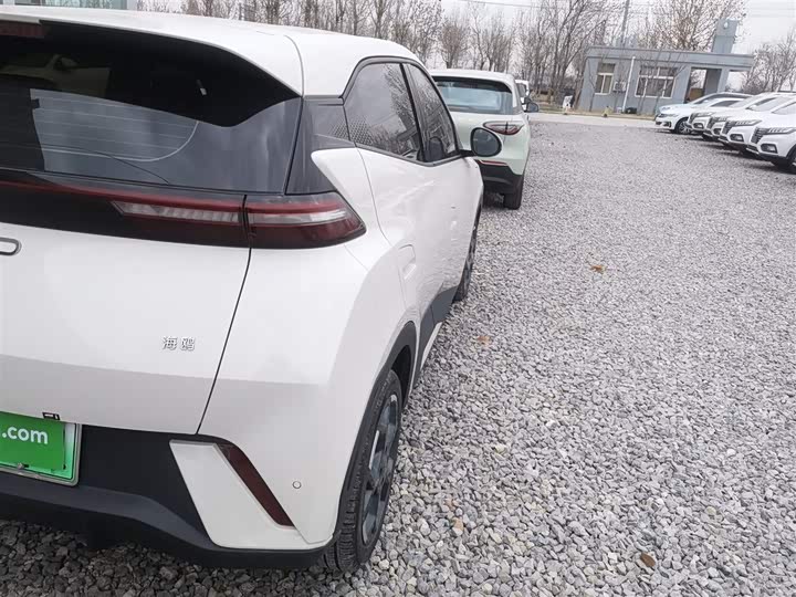 Фото 8 - BYD Seagull